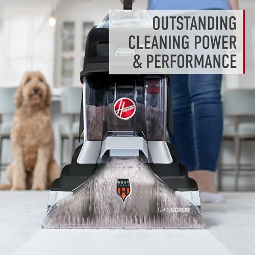 Carpet cleaner with outstanding cleaning power and performance