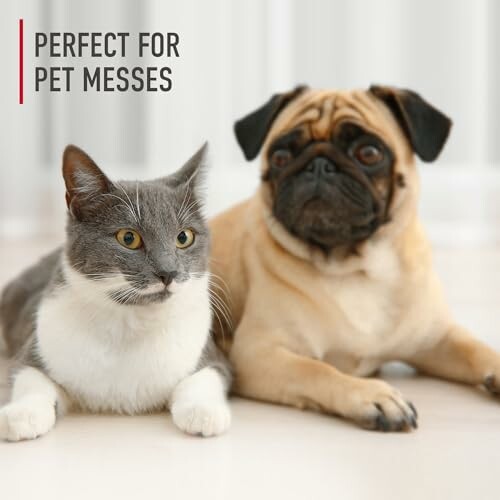 Cat and dog sitting on the floor with text 'Perfect for pet messes'.