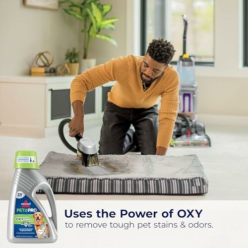 Man using a vacuum to clean a pet bed with cleaning solution nearby.