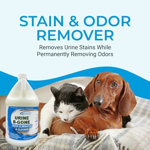 Stain and odor remover with a cat and dog on a blanket.