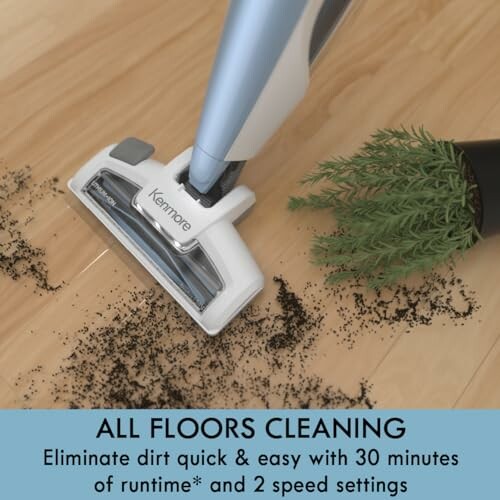 Vacuum cleaner on floor with spilled dirt and plant.